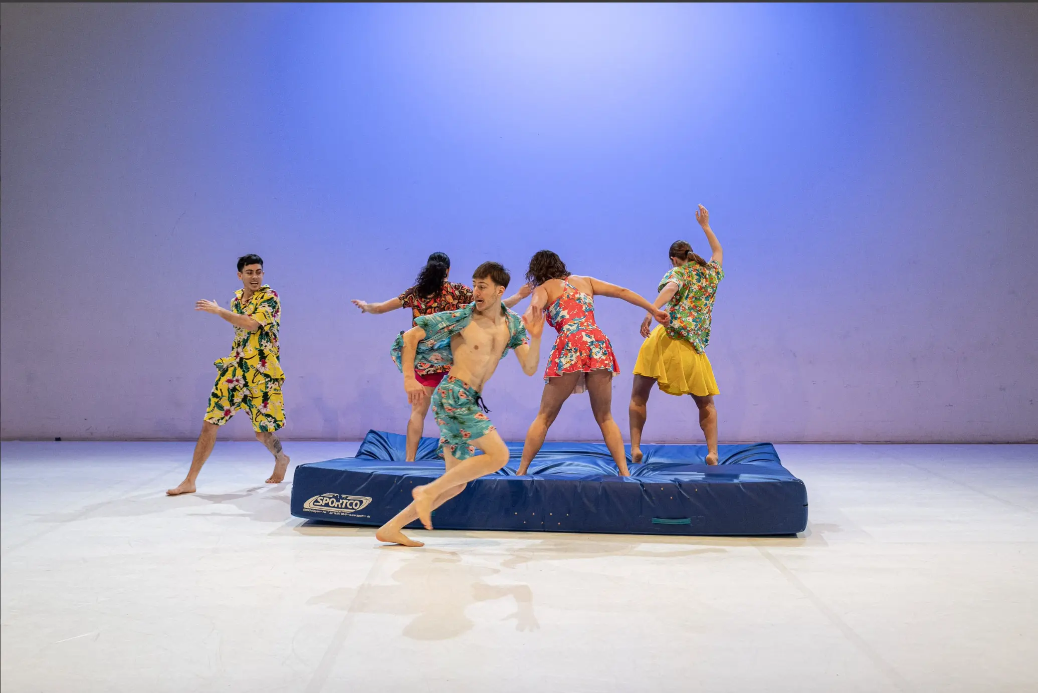 Ab auf die Matte! dance performance image