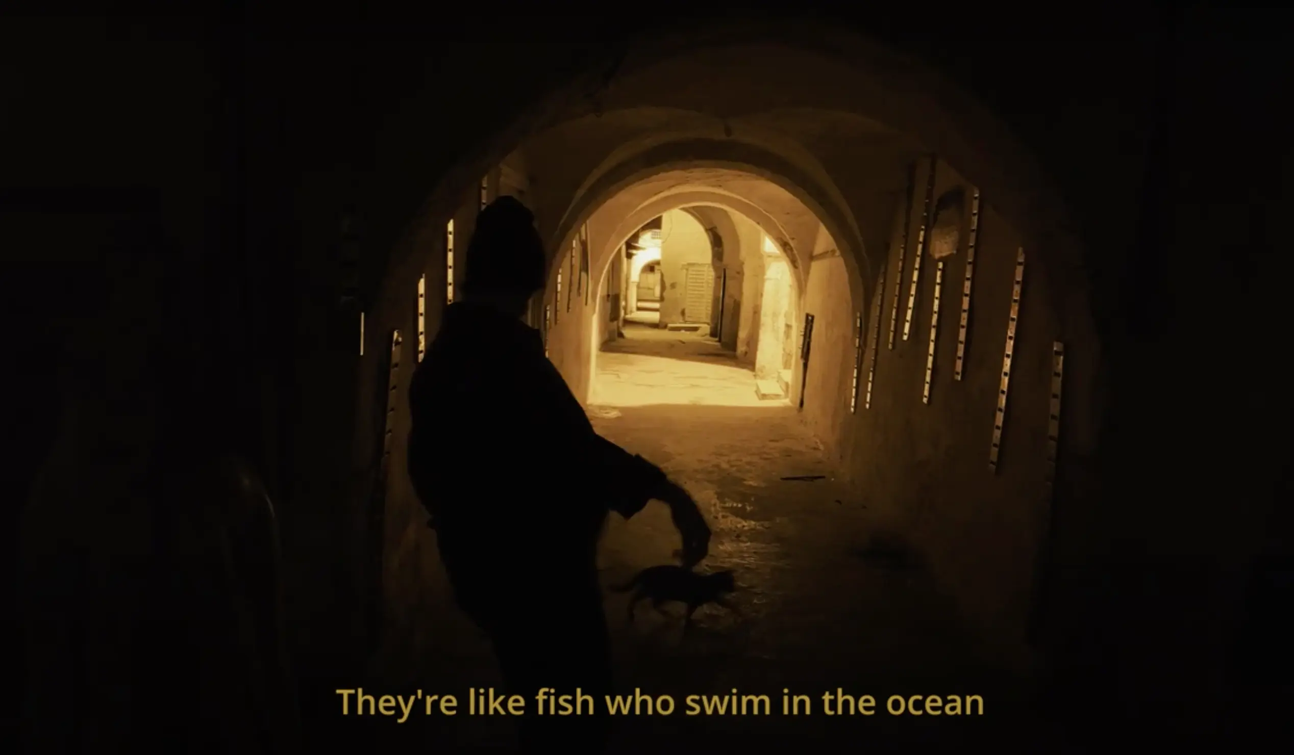 video trailer thumbnail